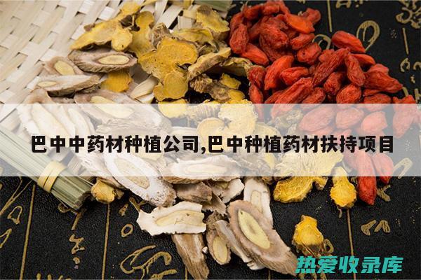 中药材巴戟的功效