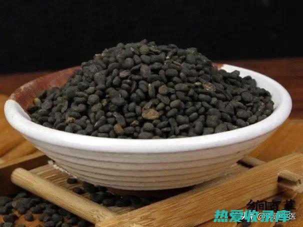 补骨脂功效与作用及其食用方法 (补骨脂功效与作用)