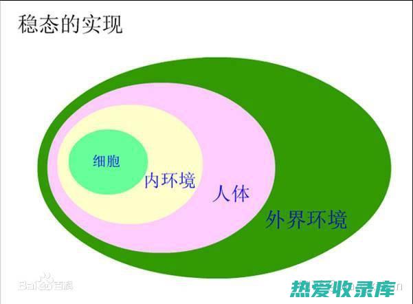 系统化了学发展的认识