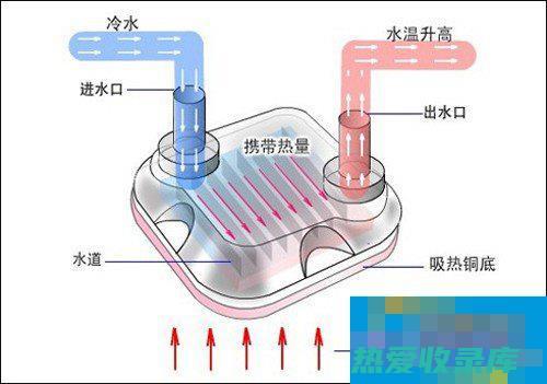 促进热散解，降低体温(促进散热的激素)