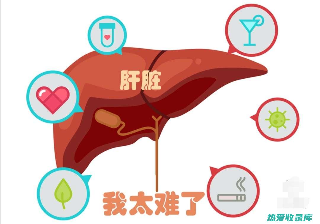 抑制肝脏合成胆固醇(抑制肝脏合成胆固醇的食物)