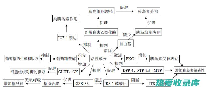 降血糖作用(柴胡降血糖作用)