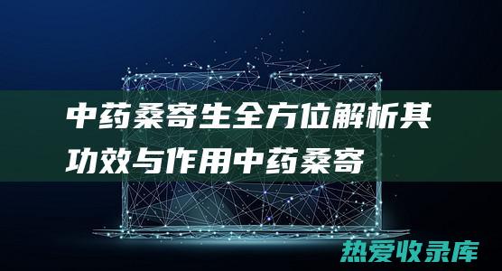 中药桑寄生：全方位解析其功效与作用 (中药桑寄生图片)