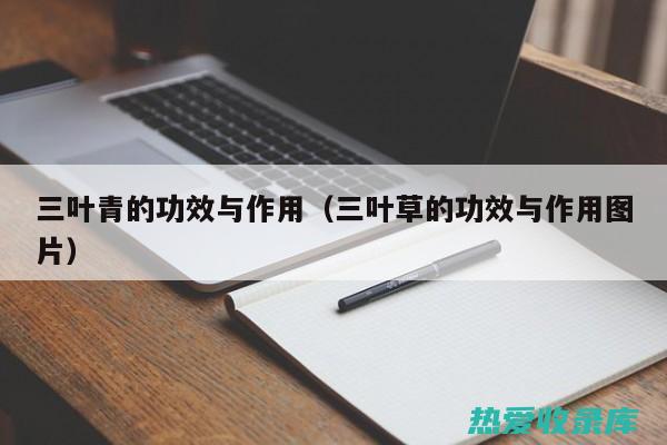 三叶清的功效与作用及食用方法禁忌