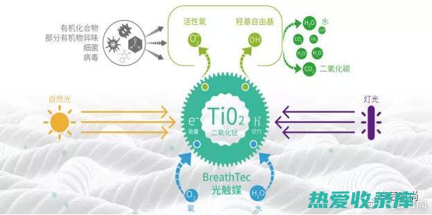 抗菌和抗病毒：白花蛇舌草具有抗菌和抗病毒特性，可以帮助抵抗感冒、流感和其他感染。它已被证明对金黄色葡萄球菌和肺炎链球菌等常见细菌有效。(抗菌和抗病毒药可以一起用吗)