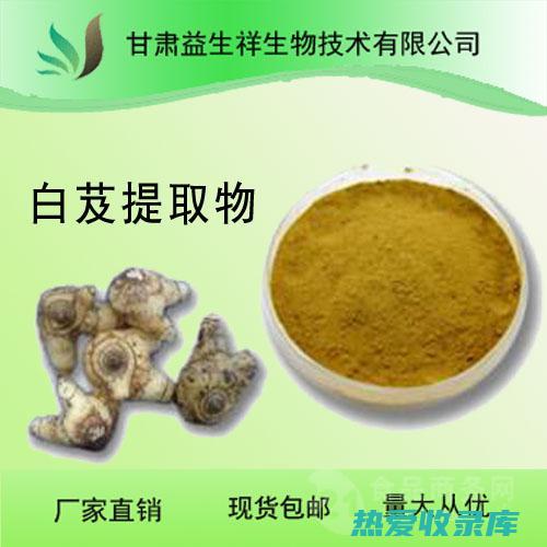 提取物：白花蛇舌草提取物可以用在护肤品、护发产品和膳食补充剂中。(白花百合花提取物)