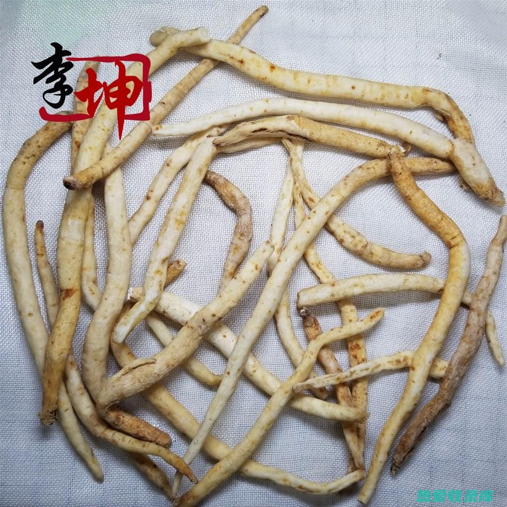 川派中药名列前茅 (川派中药名列表图片)