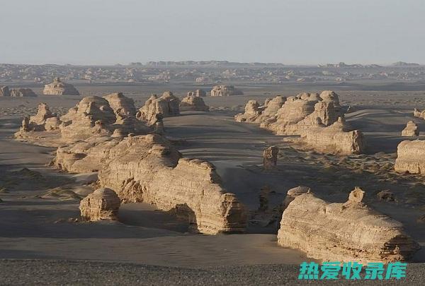 揭秘神秘的中药材：川椒 (揭秘神秘的中山古国)