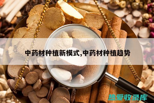 药材及功效举例： (药材及功效举例介绍)