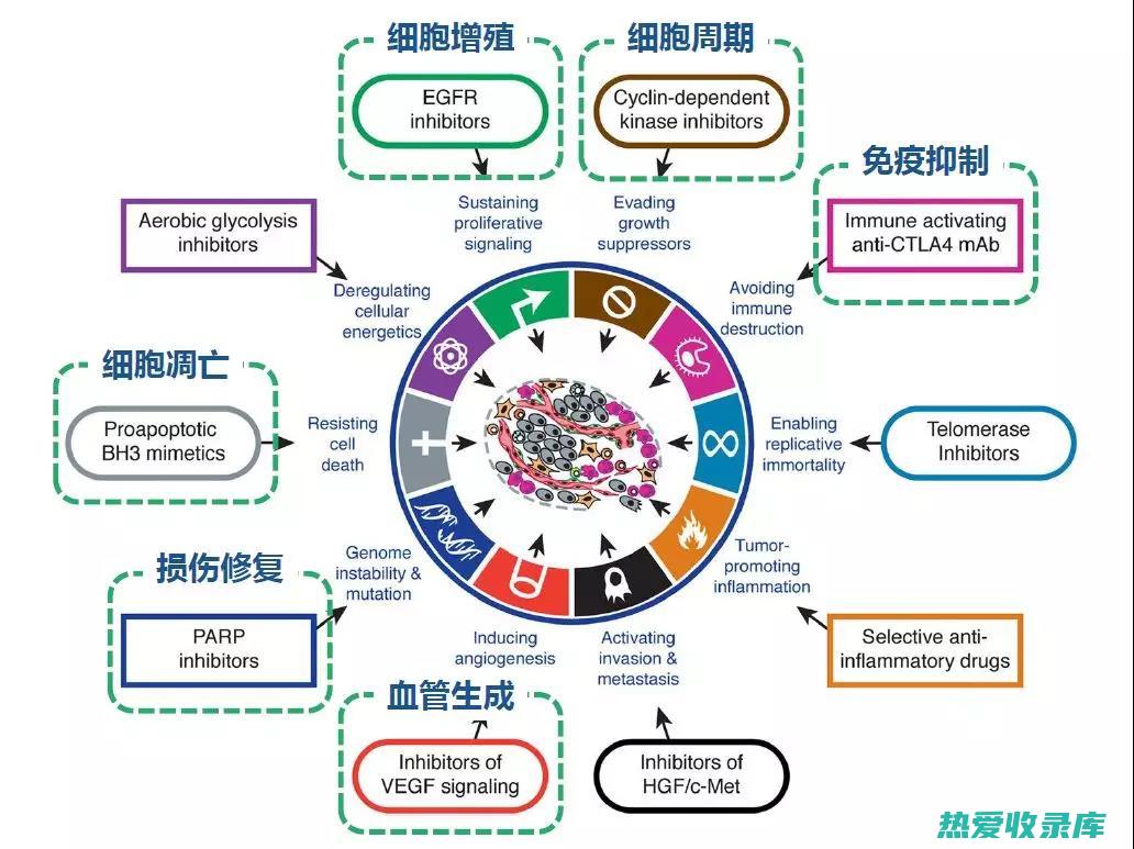 天然治疗方案