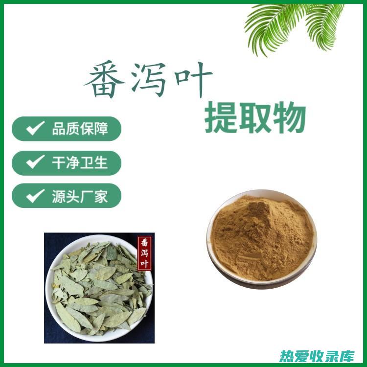 中药粉卑藓的惊人功效：揭开其治疗潜力的面纱 (粉草藓性味归经功效)