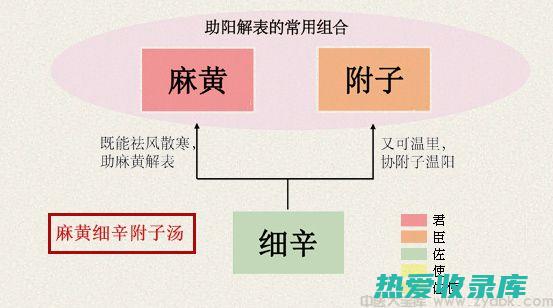 翻花疮中药：治疗方法和推荐药方 (翻花疮中药外治)