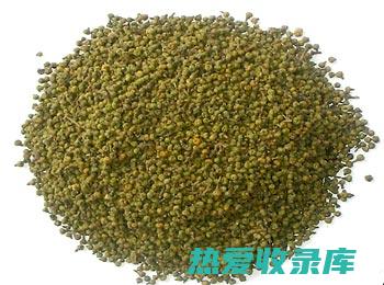 吴茱萸的功效与作用：全方位解析其药用价值 (吴茱萸的功效与作用主要治什么病)