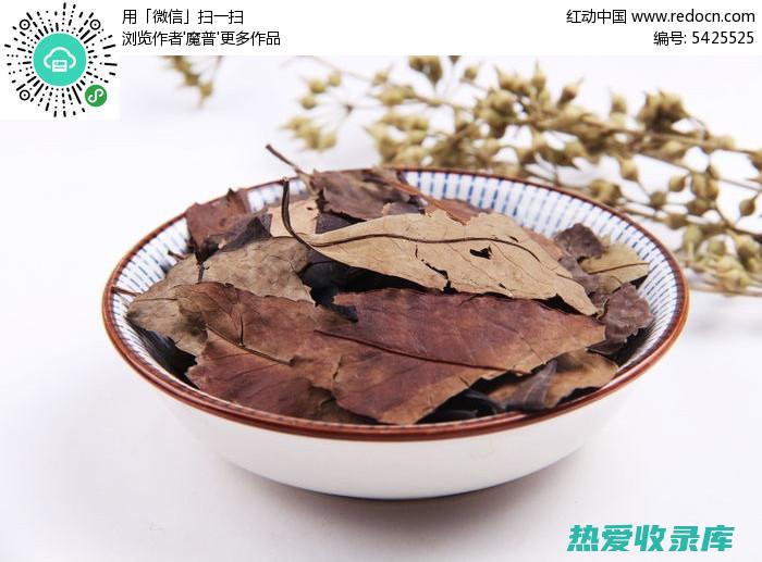 中药三台青: 神奇的药用植物及其对各种疾病的应用 (三台青是什么药材)