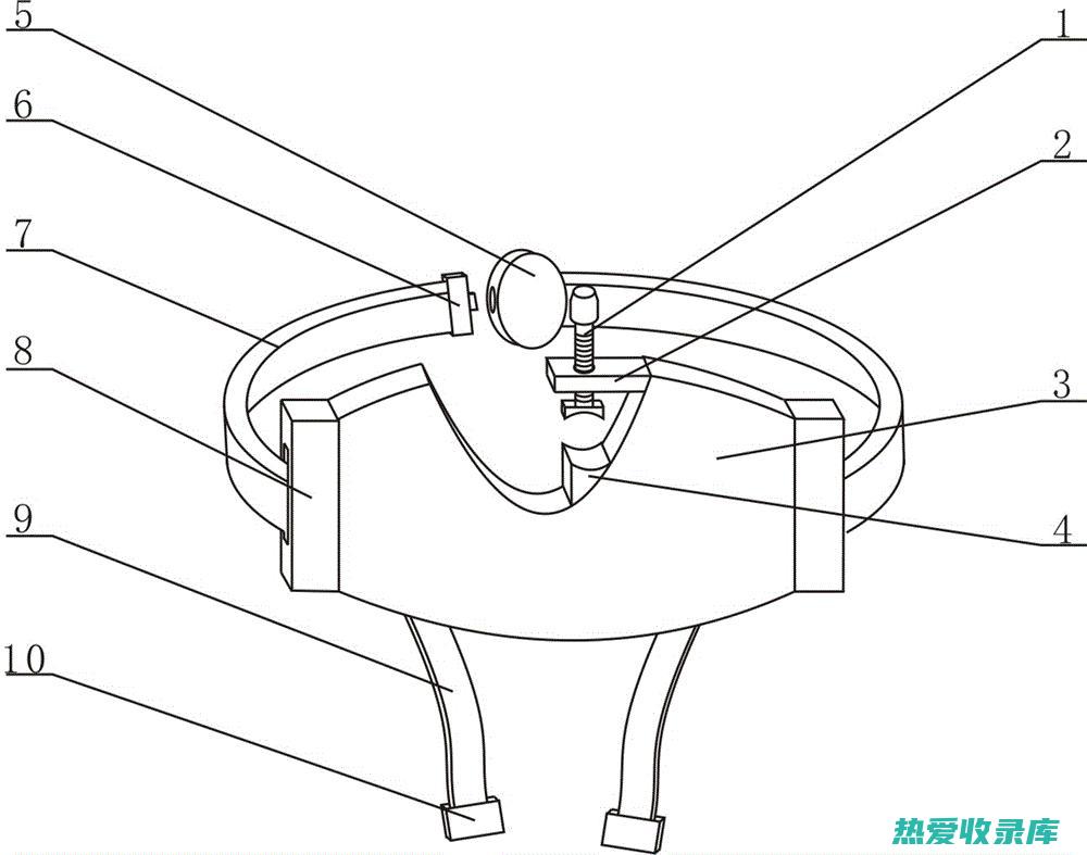 鹅气管：一种具有多种健康功效的美味佳肴 (鹅气管有什么药用价值)