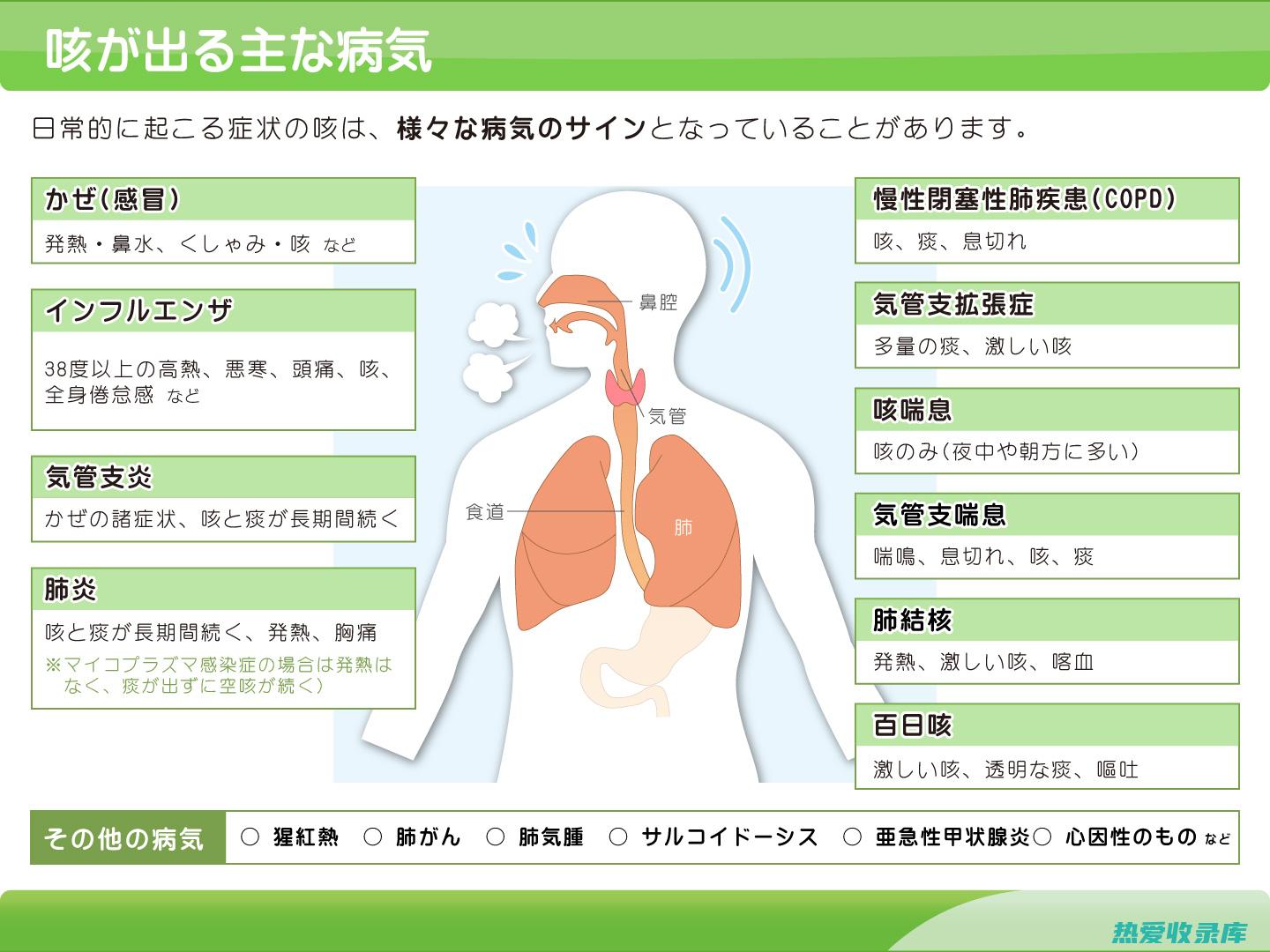 咳嗽喘息(咳嗽喘息是什么症状)