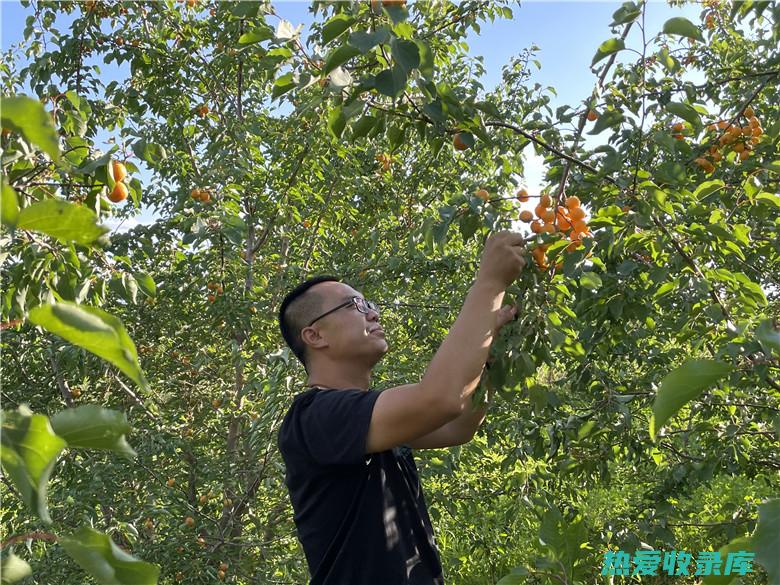 镇静安神：杏仁具有镇静安神的作用，可以改善失眠、健忘等症状。(镇静安神方)