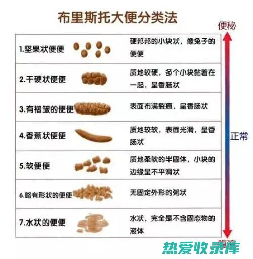 便秘患者(便秘患者应该少吃或者不吃什么食物)