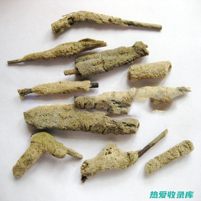 紫霄花的功效与作用及禁忌