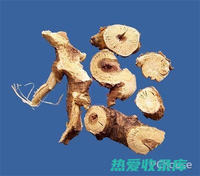 苦参的非凡功效：探索它的惊人健康益处 (苦参的非凡功效与作用)