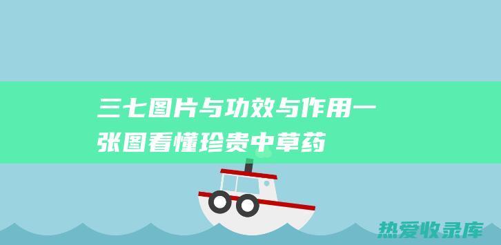 三七图片与功效与作用：一张图看懂珍贵中草药 (三七原图)