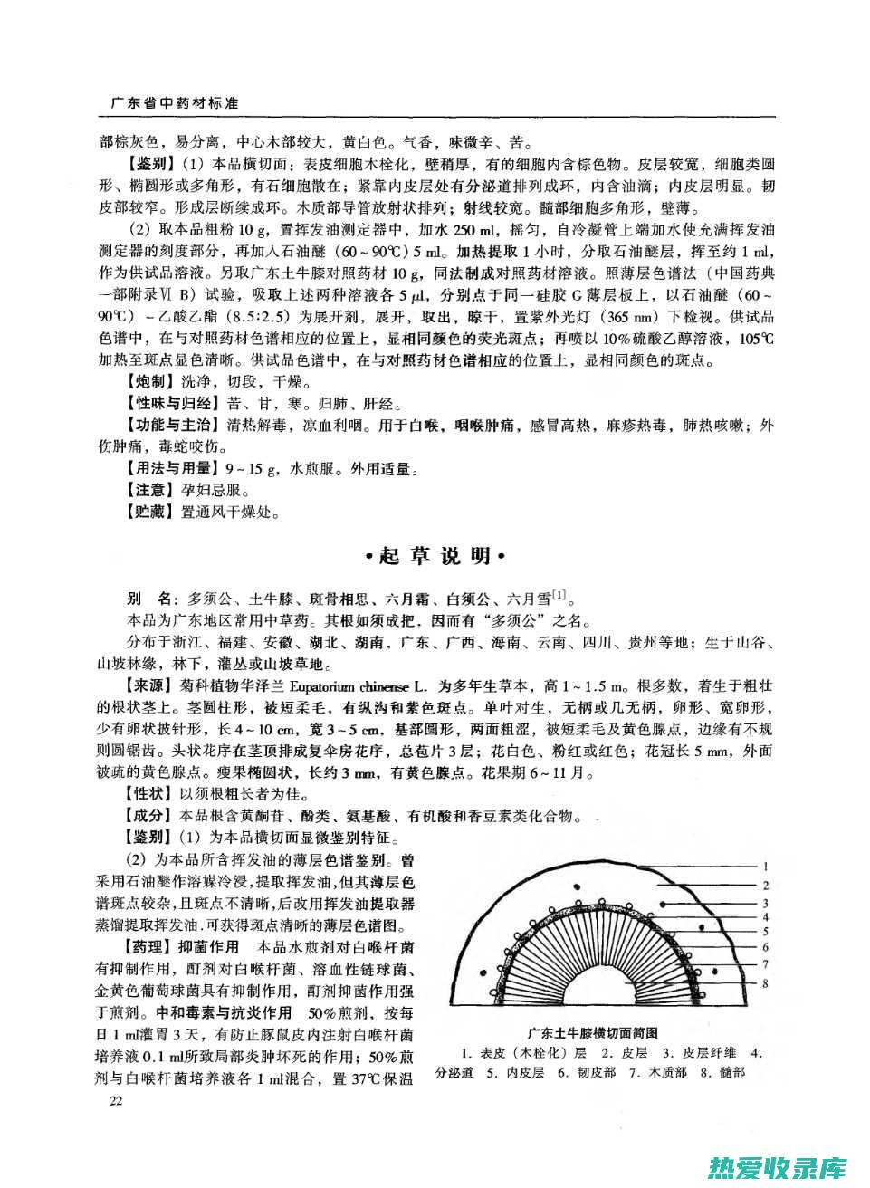 牛膝：甘温，归肝、肾经。具有补肾强筋、通经活络的功效，常用于治疗肾虚腰膝酸软、风湿痹痛等。(牛膝的主治)