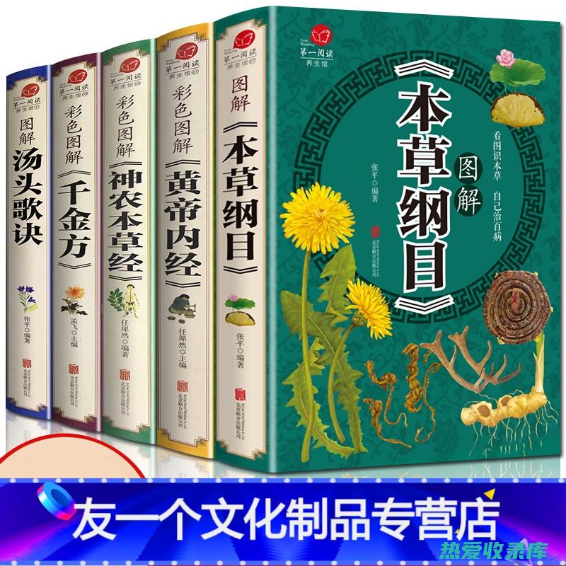 小对经草的非凡功效与广泛用途 (小对经草和大对经草)