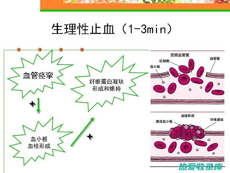 不宜与止血药同用，如云南白药、三七粉等。(不宜与止血药同服)