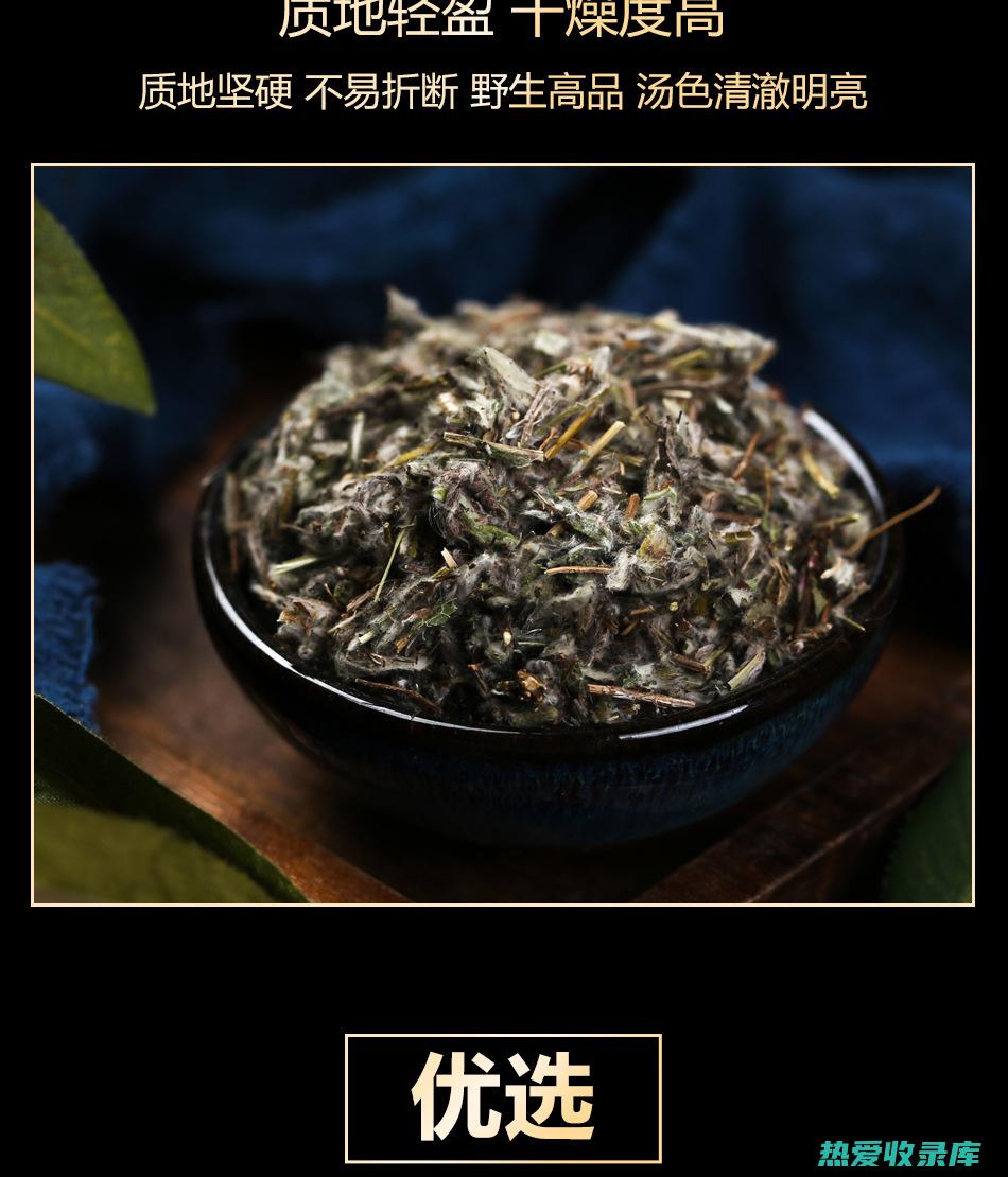 老头草的功效与作用