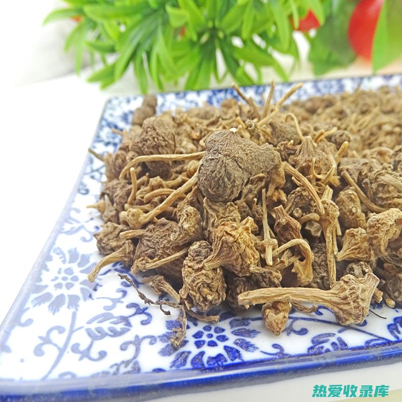 纽子七的功效：了解这种神奇草药的药用价值 (纽子七的功效作用及图片)