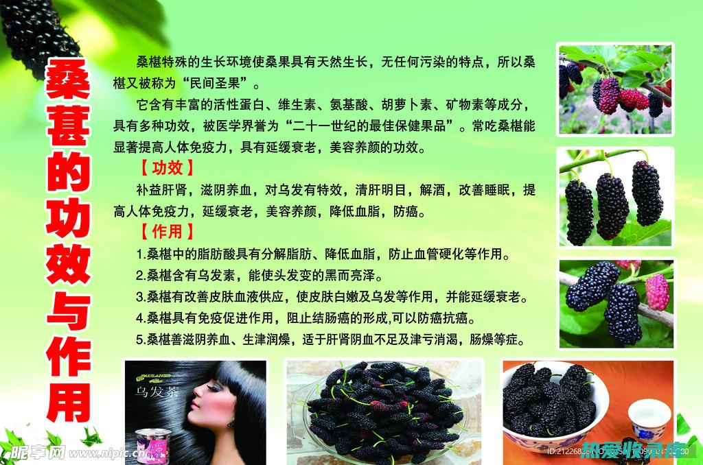 桑椹：传统中药的甜蜜滋味 (桑椹是什么作用)