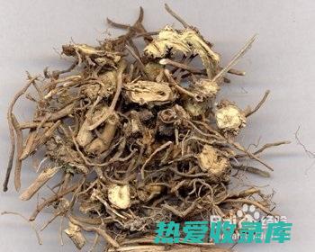 白薇的功效、作用及禁忌：药用价值全知道 (白薇的功效与作用的功能与主治)