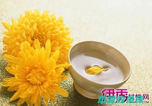 菊花麦冬木蝴蝶：功效全解析 (菊花,麦冬)