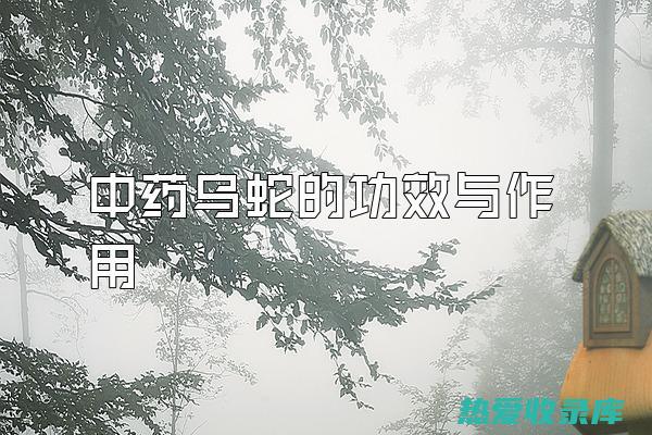 乌蛇的功效与用量