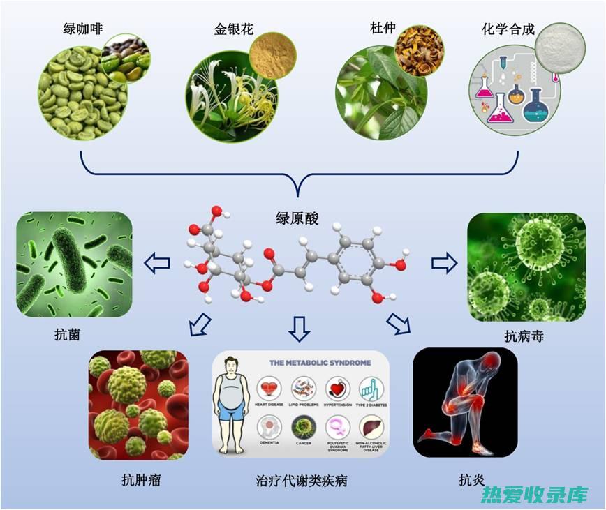 抗炎、抗菌：黄牛藤具有抗炎和抗菌作用，可用于治疗痢疾、肠炎等。(抗炎抗菌药膏)