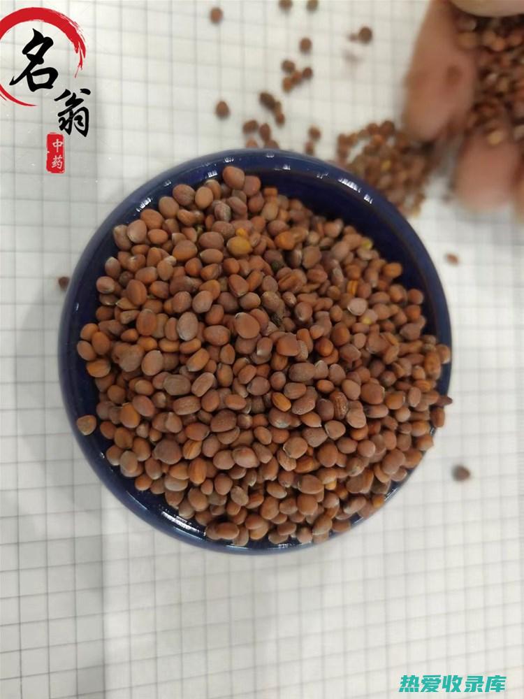 中药宝典：莱菔子，消食化痰解毒的良方 (莱菔中药材中医世家)