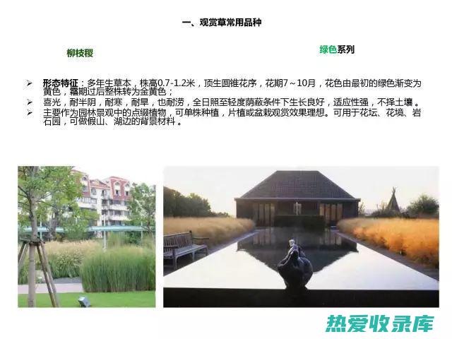 各草功效：深入了解不同草药的治疗益处 (各种草的功效)