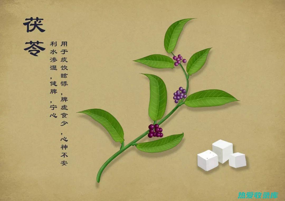 黑茯苓(黑茯苓功效与作用)