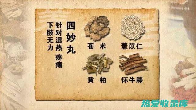 四妙散：冬子、茯苓、白术、苍术，用于脾胃虚弱、食少纳呆、腹胀腹泻等症。(四妙散歌诀)