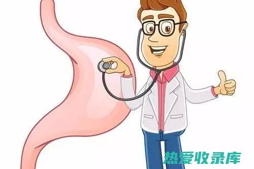 改善肠胃健康