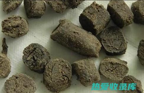 胆南星：用途、功效和作用 (胆南星的神奇功效)