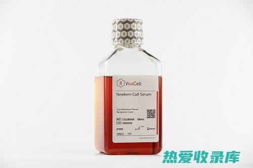 止血消炎：牛筋草具有止血消炎的作用，可以用于治疗外伤出血、跌打损伤等症状。(牛的止血药)