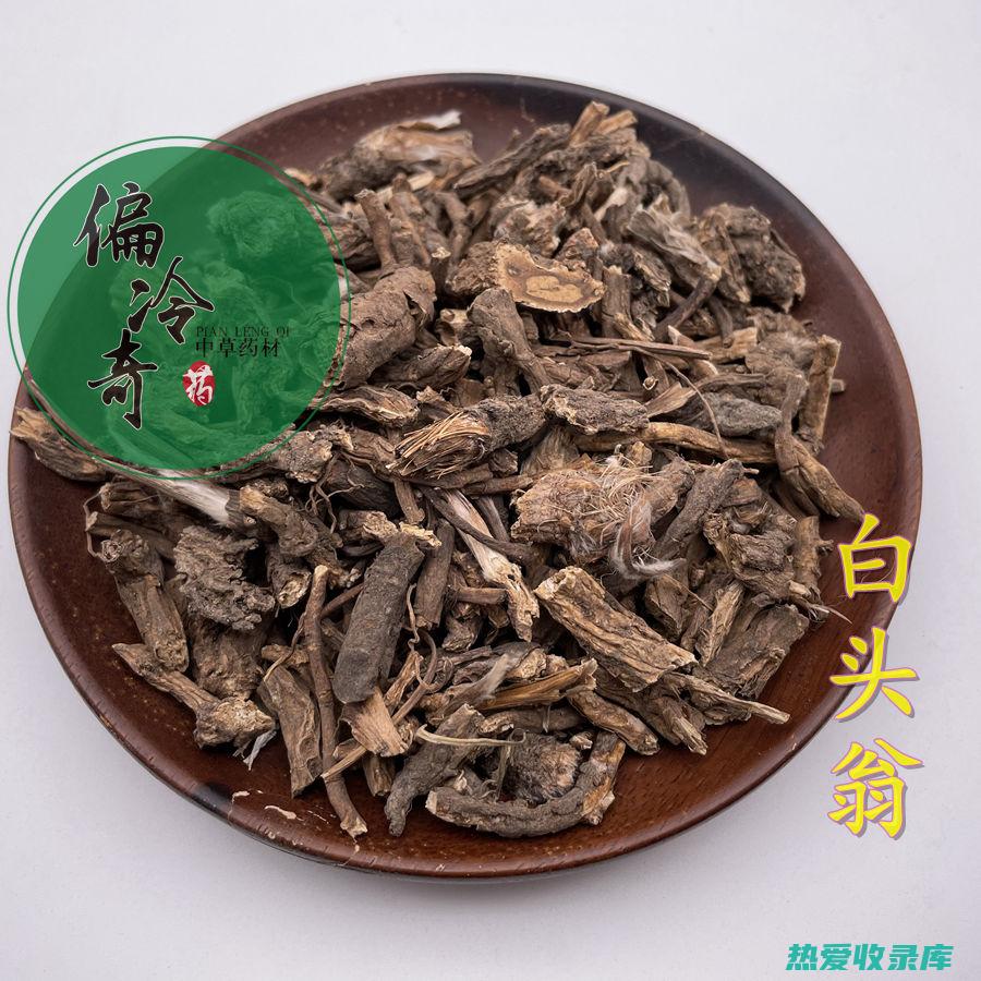 毛茛的中药功效 (中药毛茛的功效)