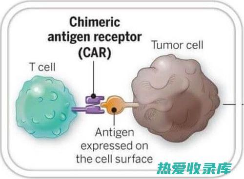 免疫调节(免疫调节剂有哪些药物)