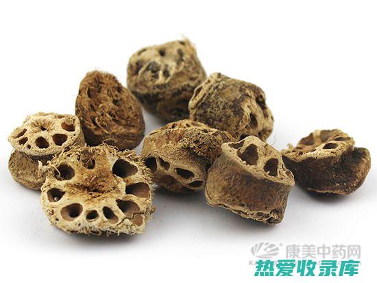 藕节：是否为中药？ (什么叫藕节)