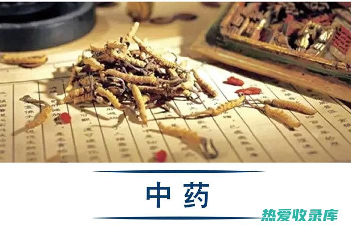 中药的博大药库：各类中药品种 (中药的博大药有哪些)