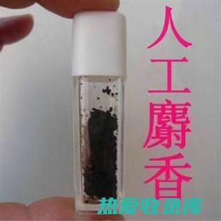 麝香的功效与用途：揭秘这种珍贵香料的健康益处 (麝香的功效与作用多少钱一克)