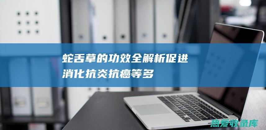 蛇舌草的功效全解析：促进消化、抗炎、抗癌等多种好处 (蛇舌草的功效与作用图片)