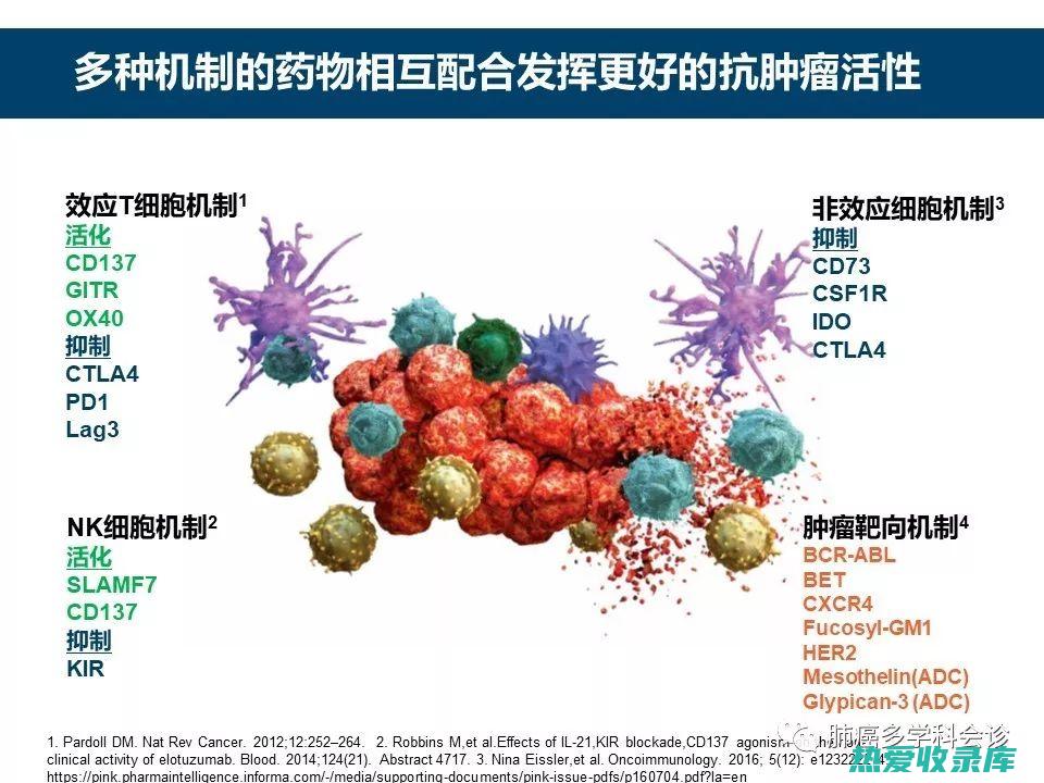 野根抗肿瘤研究