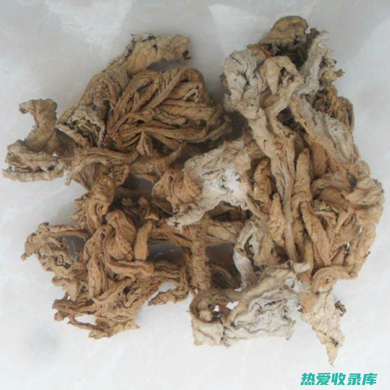 中药石白菜：功效、作用和临床应用简介 (中药石白菜的图片大全)